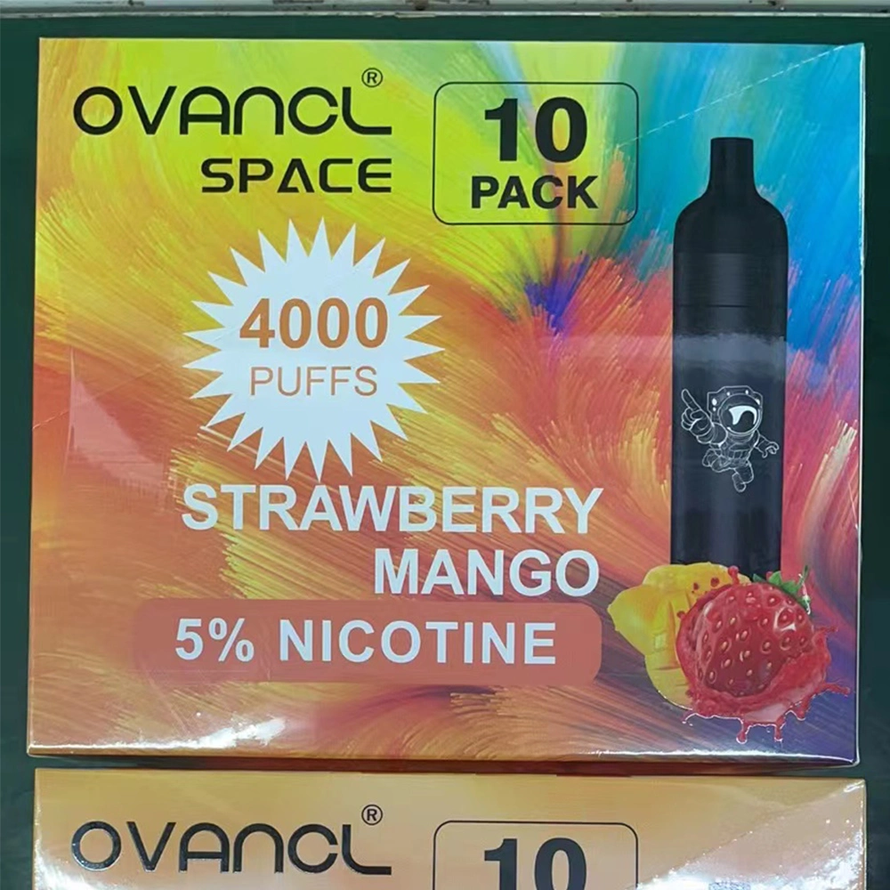 Ovancl Factory Price E Cigarette Rechargeable Battery Vaporizer 3000 Puffs Fruit Flavors Vape Pen Disposable Vape Pod System