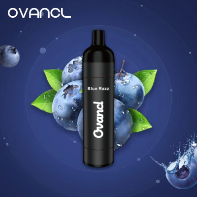 Ovancl Precio de fábrica E Cigarrillo Batería recargable Vaporizador 3000 Puffs Sabores de frutas Vape Pen Sistema de vapeo desechable